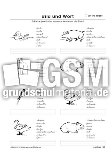 BuW Haustiere39.pdf